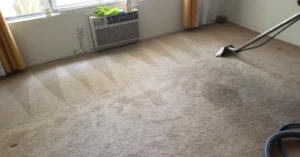 Carpet cleaning fuzzies