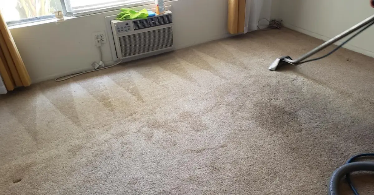Carpet cleaning fuzzies